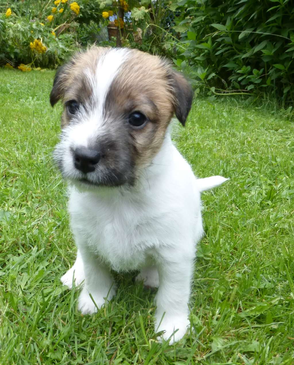 Lucie-2014-08-03-01 Lucie-2014-08-03-01